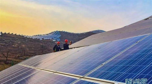 爸爸，别再干光伏了，好吗？—— 一份来自孩子的恳求与理解